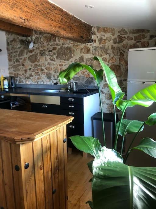 Le Loft Cosy - Centre Ville - Cadre Royal Sète Esterno foto