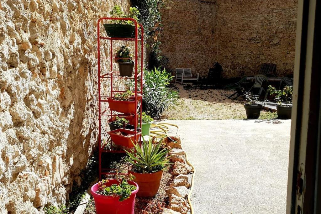 Le Loft Cosy - Centre Ville - Cadre Royal Sète Esterno foto
